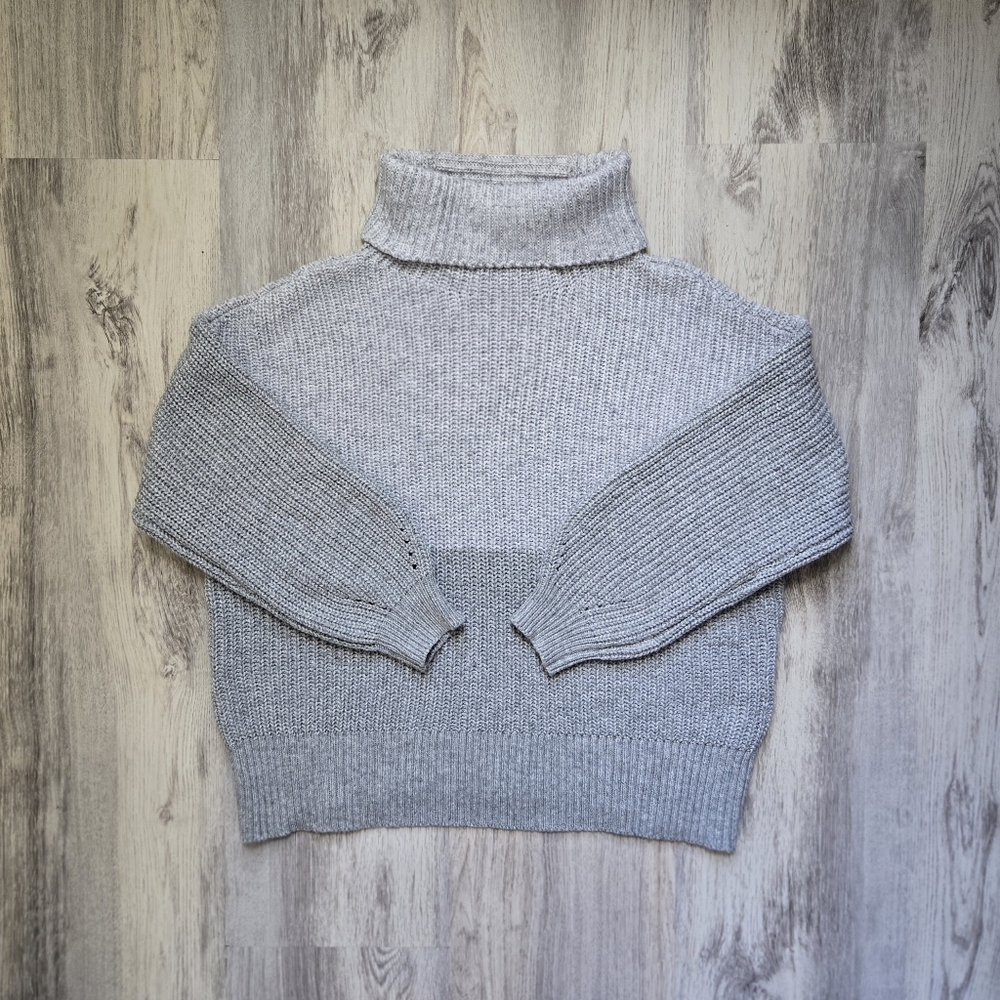 ( American Eagle ) Long Sleeve Turtlneck Knit Sweater